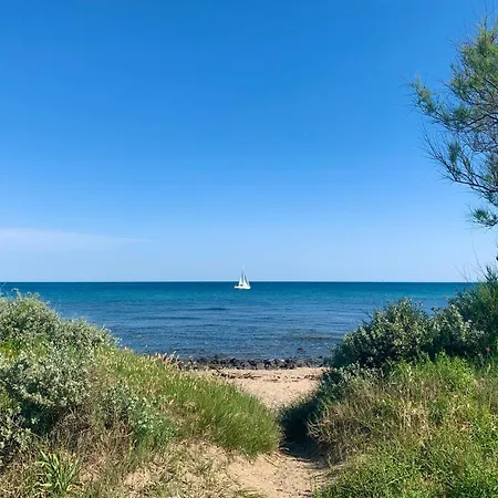 T2 Cap D'agde Bord Roquille 阿格德