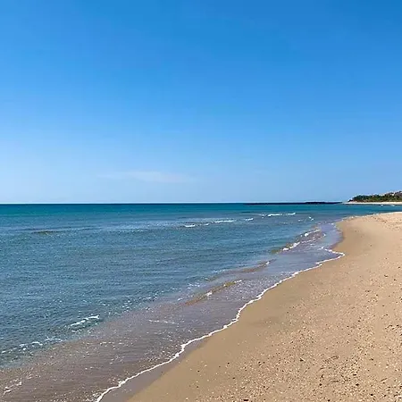 T2 Cap D'agde Bord Roquille *