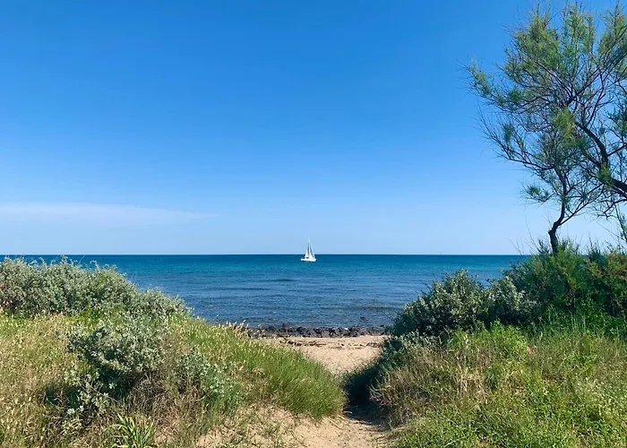 T2 Cap D'agde Bord Roquille Agde
